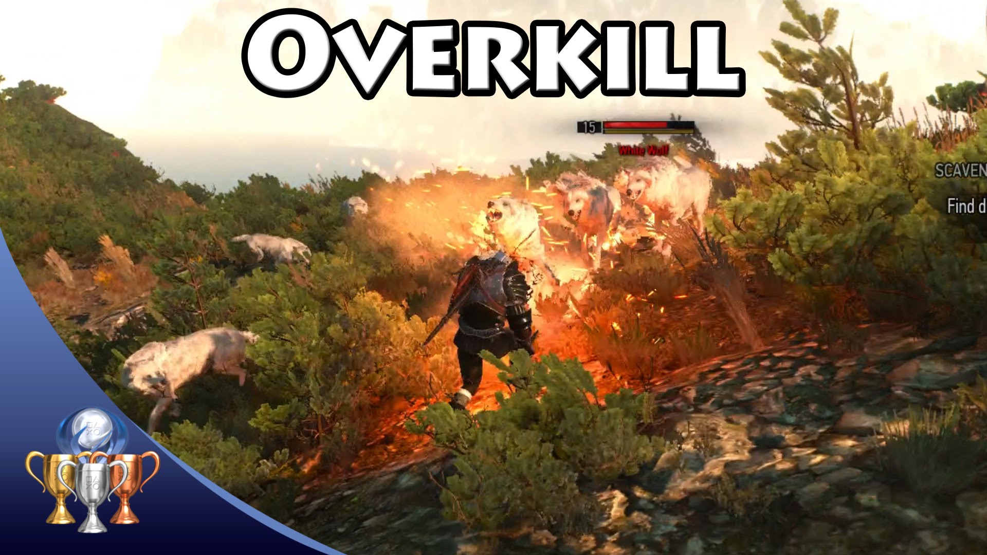overkill trophy witcher 3